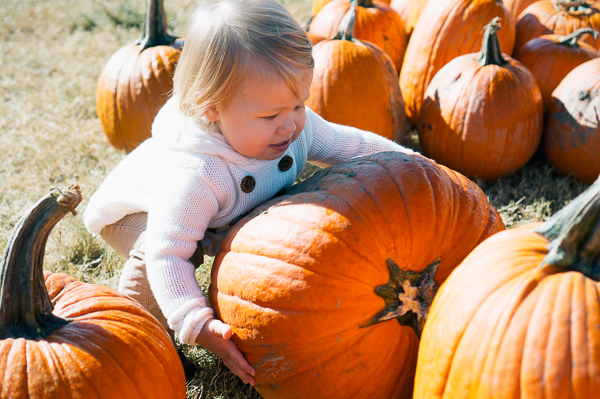 PumpkinPatch2013-1-2